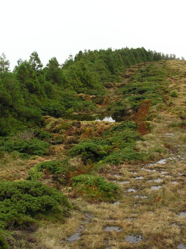 PA022811.JPG