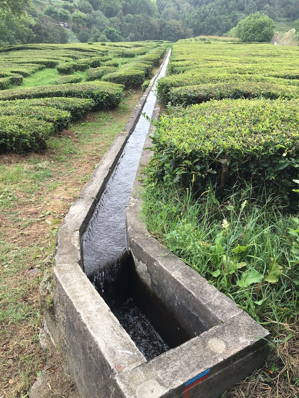 IMG_1014.jpg (431.54 KiB) 6727 mal betrachtet IMG_1014.jpg