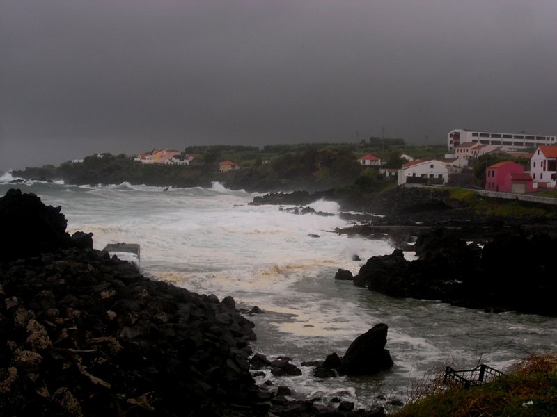 P9024115.JPG