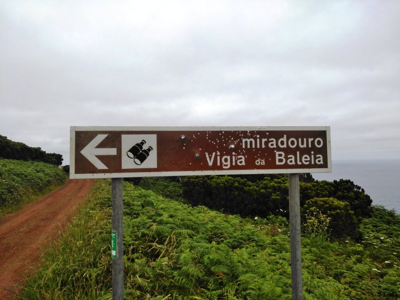 SJO Ponta dos Rosais (9).jpg