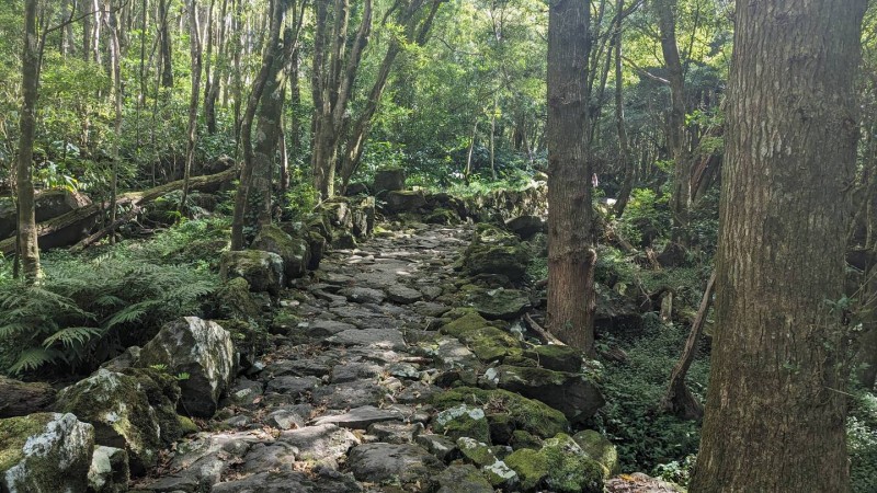 1a.jpg (307.91 KiB) 4171 mal betrachtet 1a.jpg