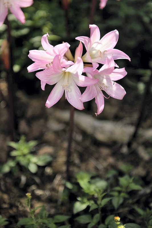 rom_20090915_153142_3000px.jpg