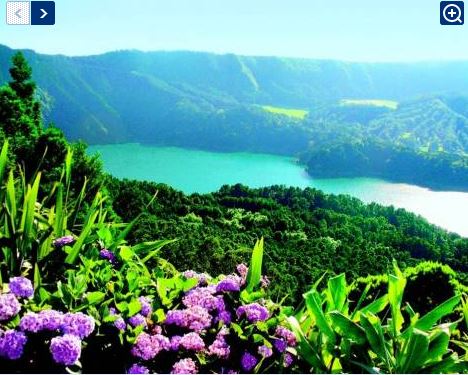 Unbekannte Azoren.JPG