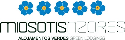 31711_miosotis.jpg