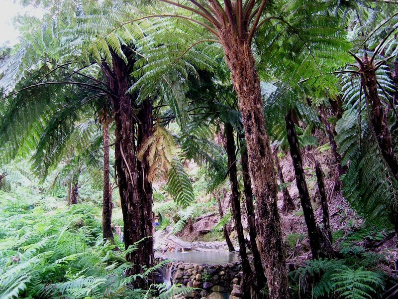 Caldeira Velha (5).JPG