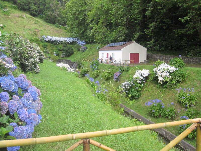 K800_IMG_4613.JPG