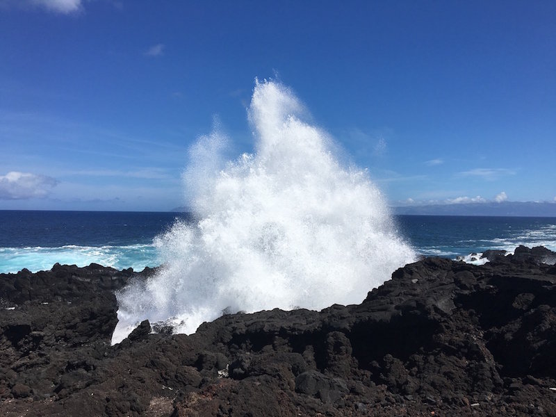 IMG_1094.jpg (177.32 KiB) 17011 mal betrachtet IMG_1094.jpg