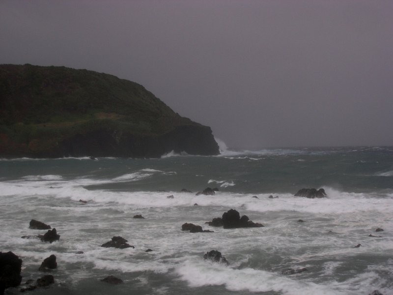 P9024120 - Cópia.JPG