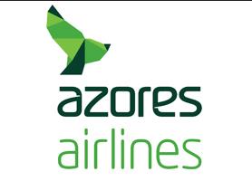 abtauchende Flosse.jpg