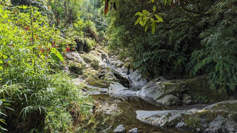 3.jpg (334.78 KiB) 12240 mal betrachtet 3.jpg